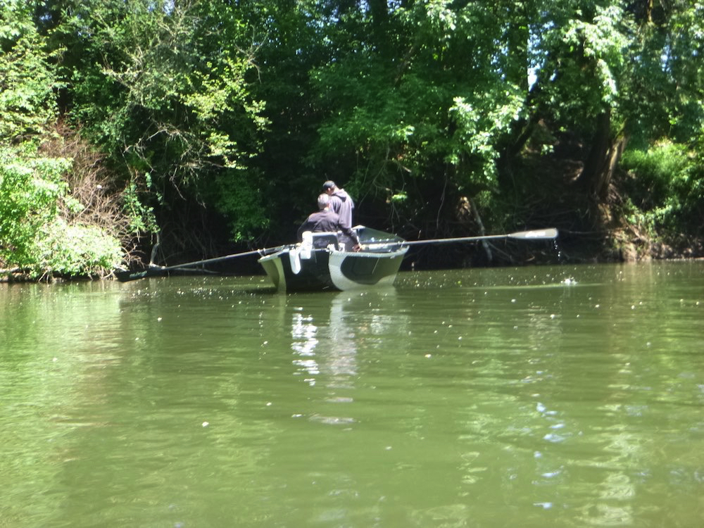 Tualatin River Fall Fishing 